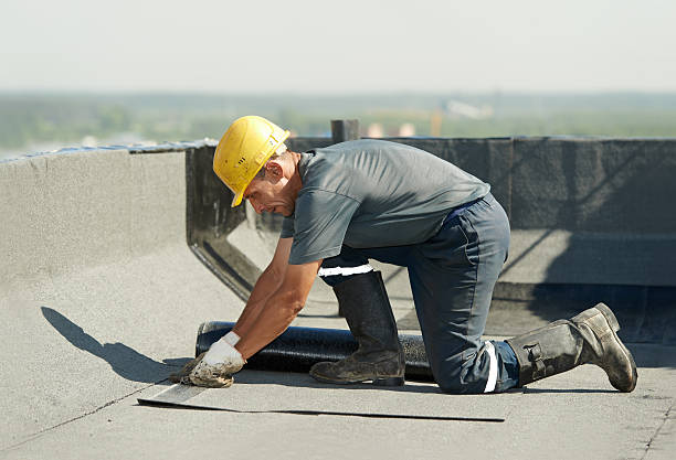 Best Cellulose Insulation  in Jacinto City, TX