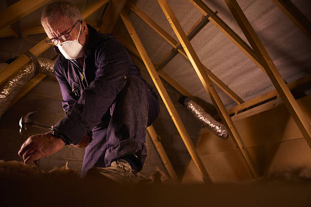 Best Insulation Replacement Services  in Jacinto City, TX
